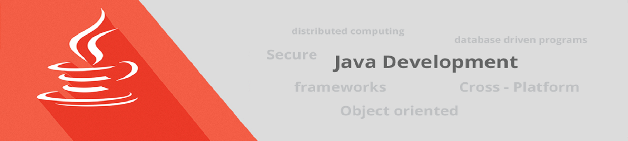 customised application development Delhi India